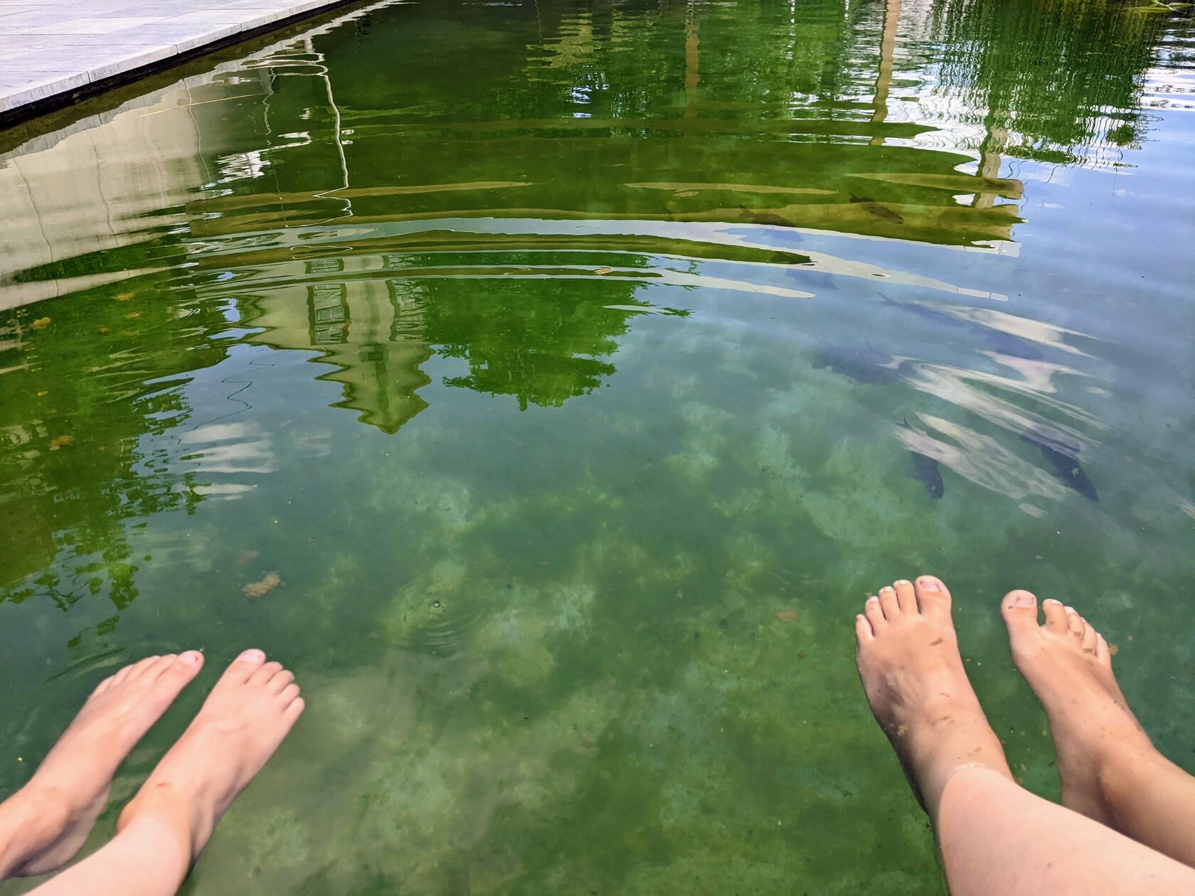 Diversidad cultural y reflexion